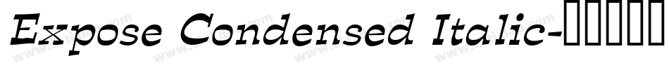Expose Condensed Italic字体转换